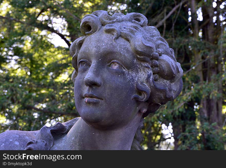 Sculpture, Statue, Tree, Head