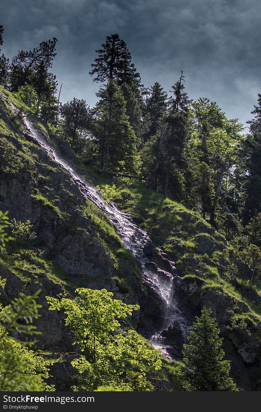 Nature, Water, Vegetation, Wilderness