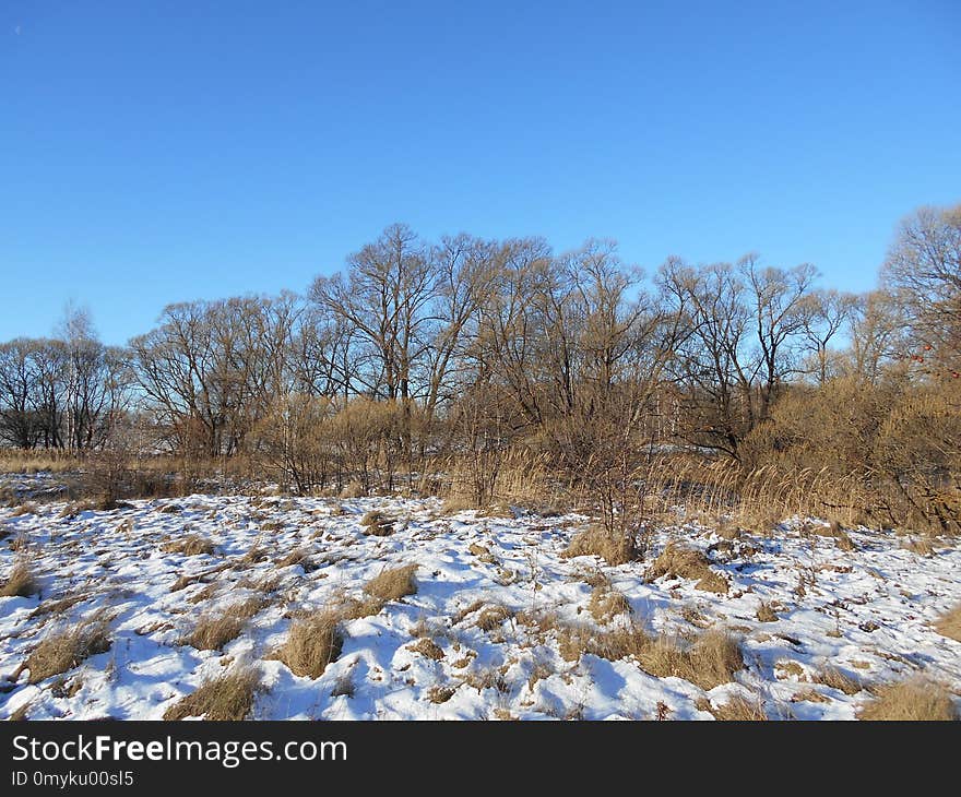 Winter, Snow, Sky, Ecosystem