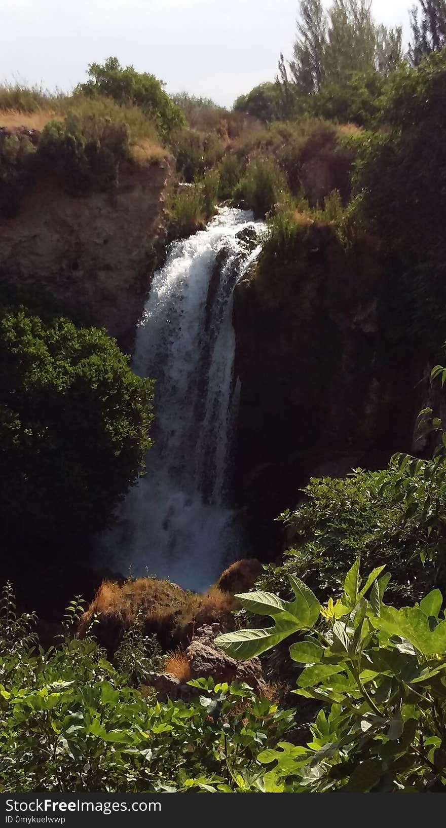 Waterfall, Vegetation, Nature, Nature Reserve