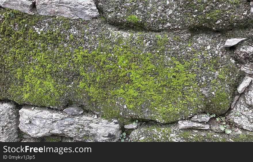 Rock, Plant, Vegetation, Moss