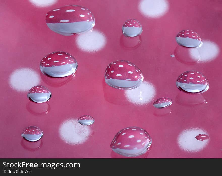 Droplets of water reflecting pink and white spots