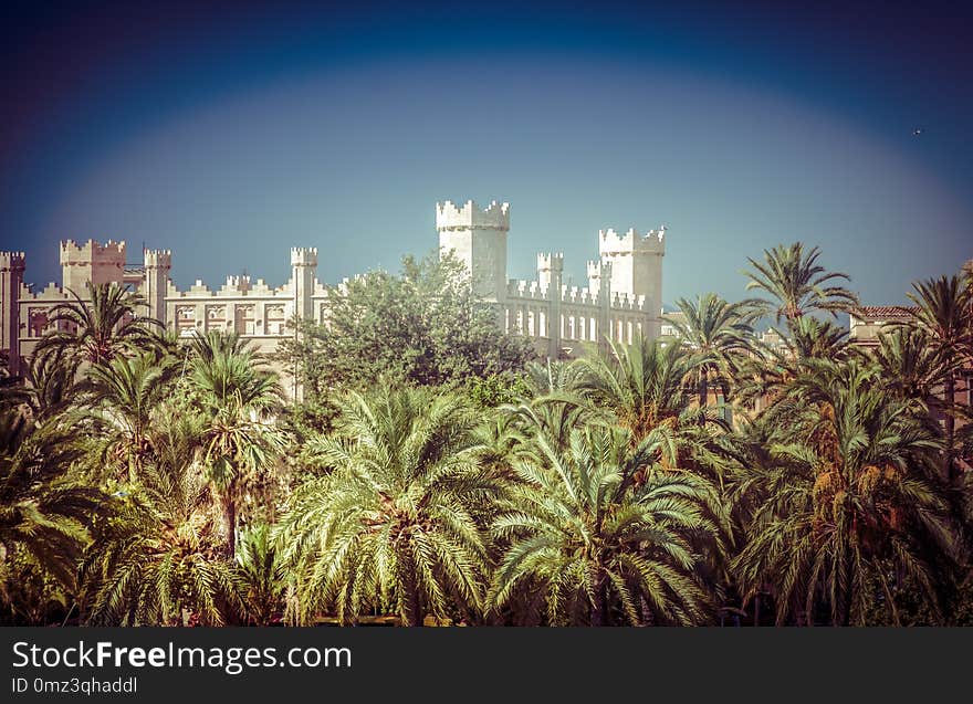 Palma de Mallorca Lonja Majorca gothic architecture in Balearic islands spain