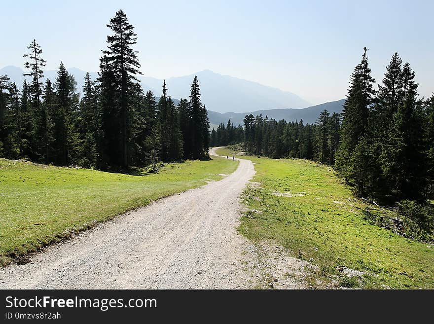 Road, Path, Nature, Wilderness