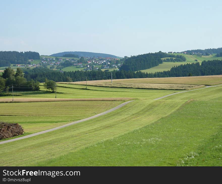 Grassland, Plain, Field, Pasture