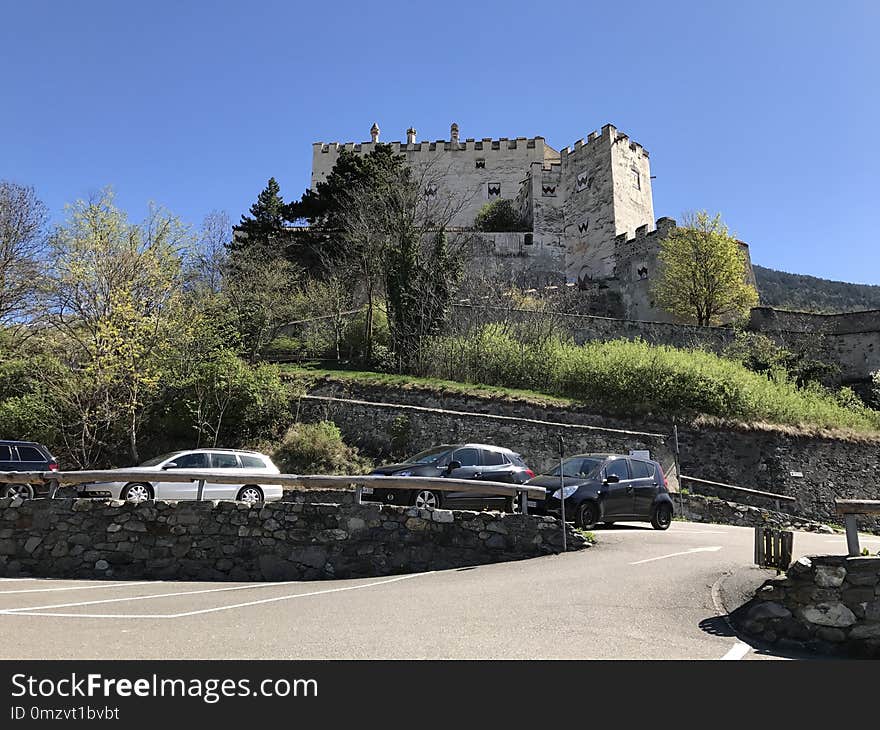 Car, Motor Vehicle, Sky, Tree