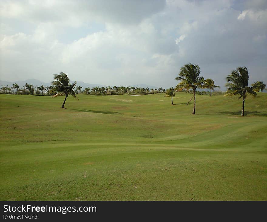 Golf Course, Golf Club, Grassland, Grass