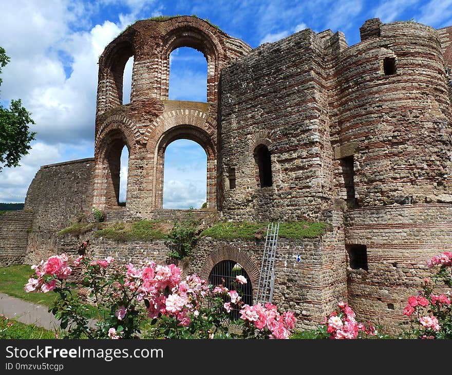 Flower, Ruins, Historic Site, Medieval Architecture