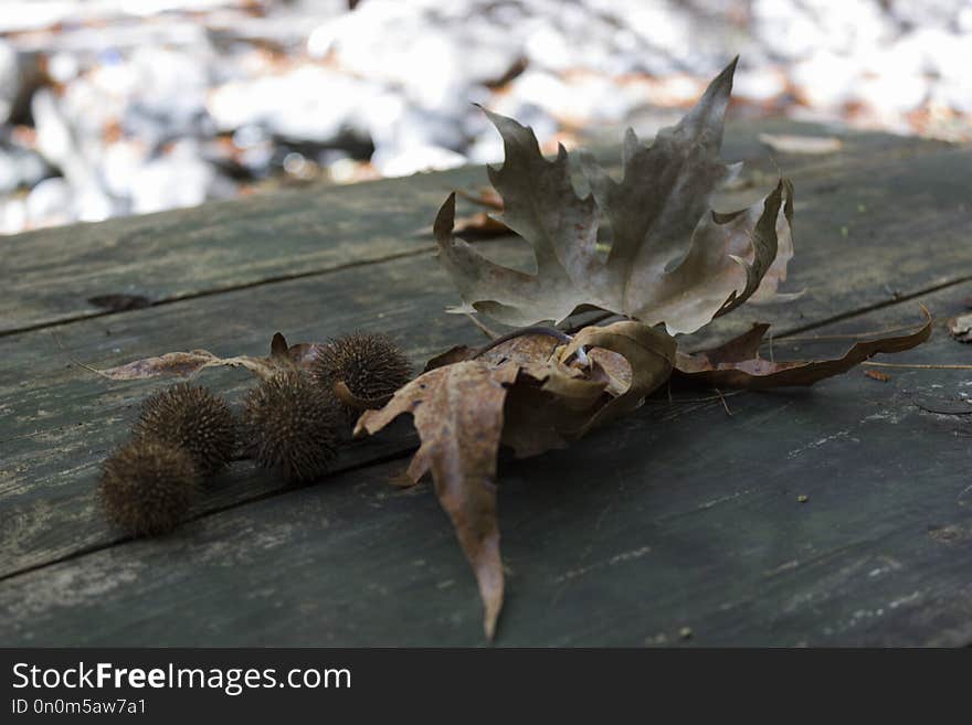 Autumn leaves on the wood table, blur effect