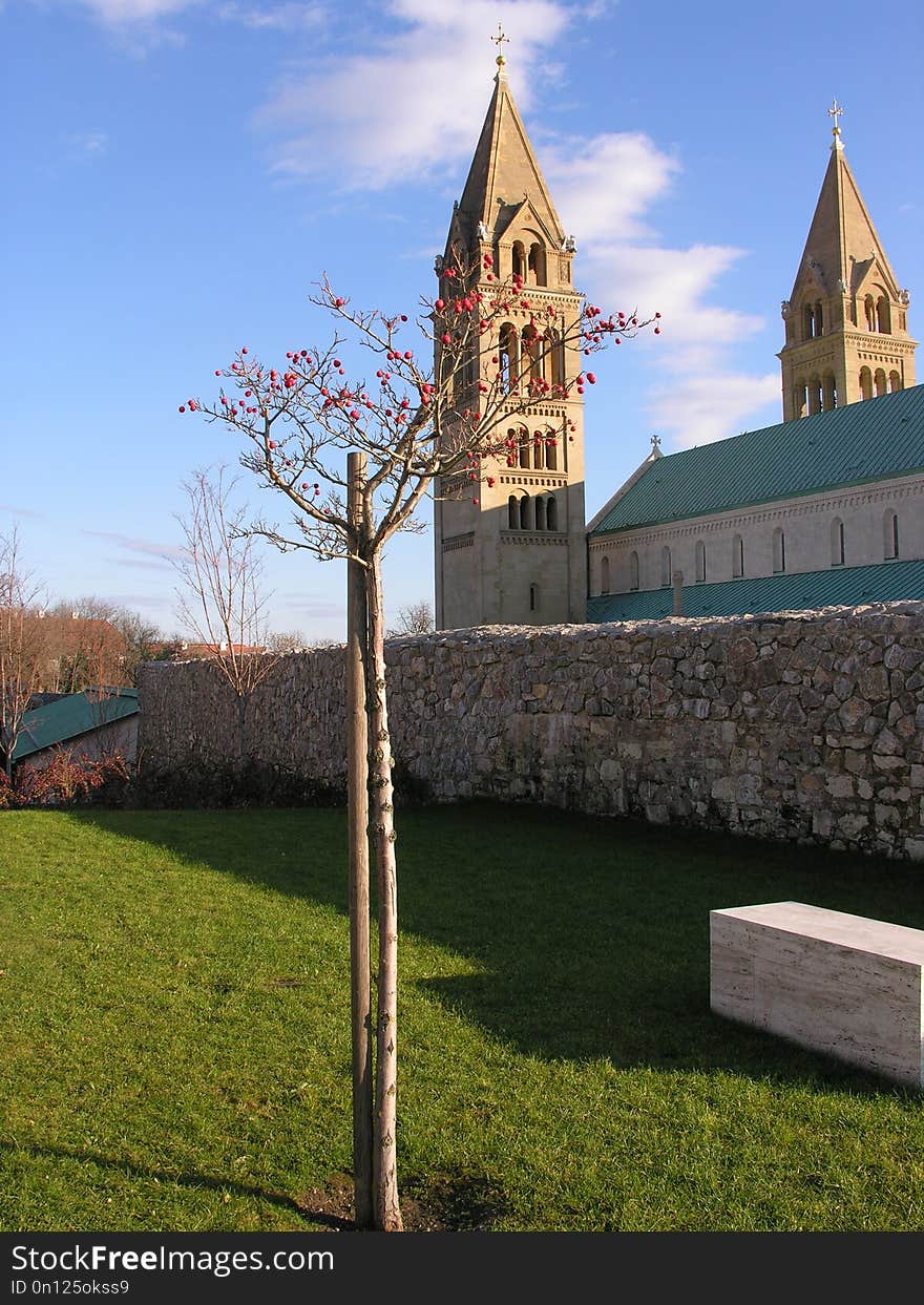 Spire, Steeple, Tree, Sky