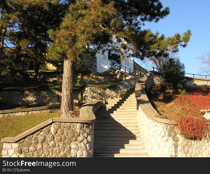 Property, Tree, Plant, Outdoor Structure