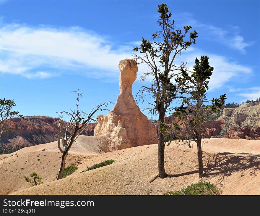 Tree, Sky, Rock, Woody Plant