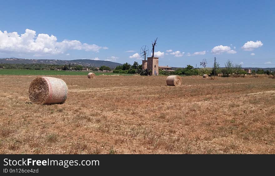 Field, Agriculture, Hay, Prairie