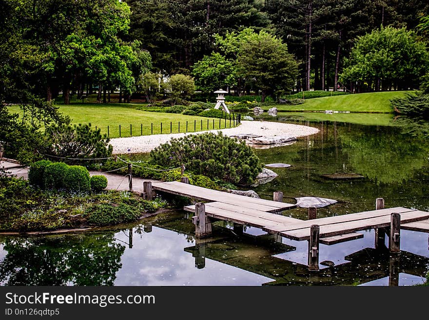 Reflection, Water, Garden, Nature