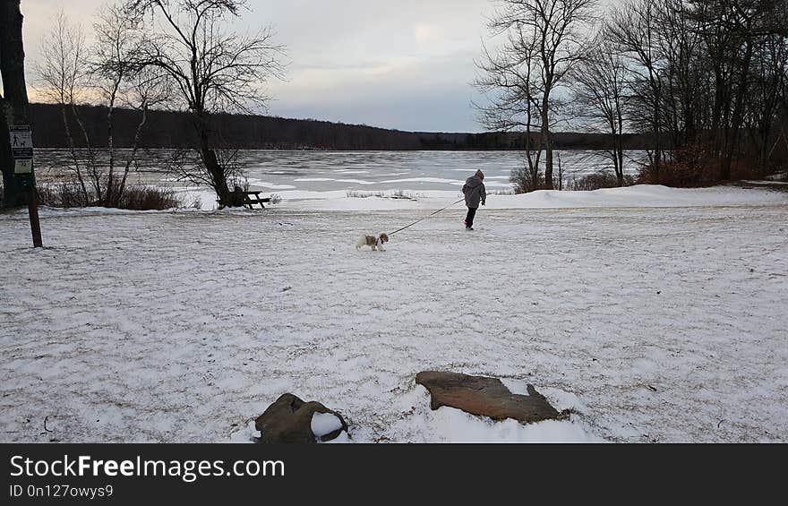 Snow, Winter, Water, Freezing