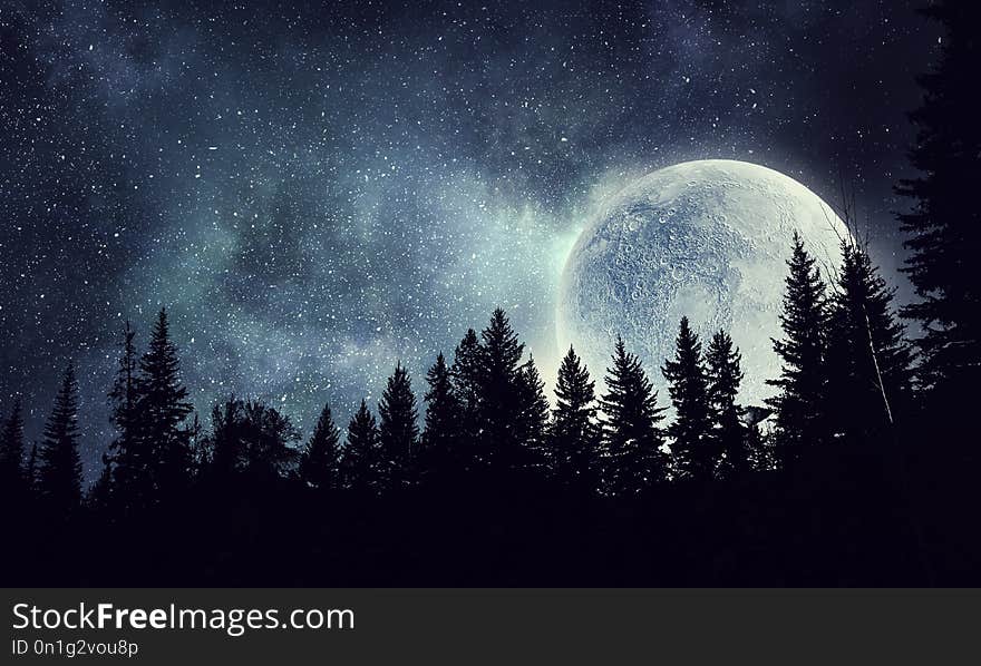 Beautiful full moon and silhouette of forest. Beautiful full moon and silhouette of forest