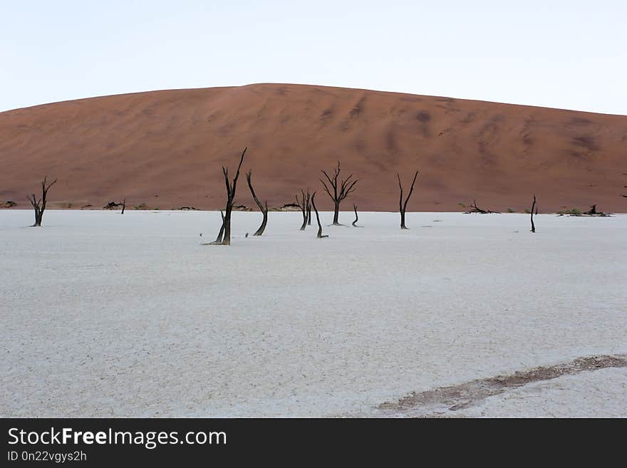 Deadvlei in namibia