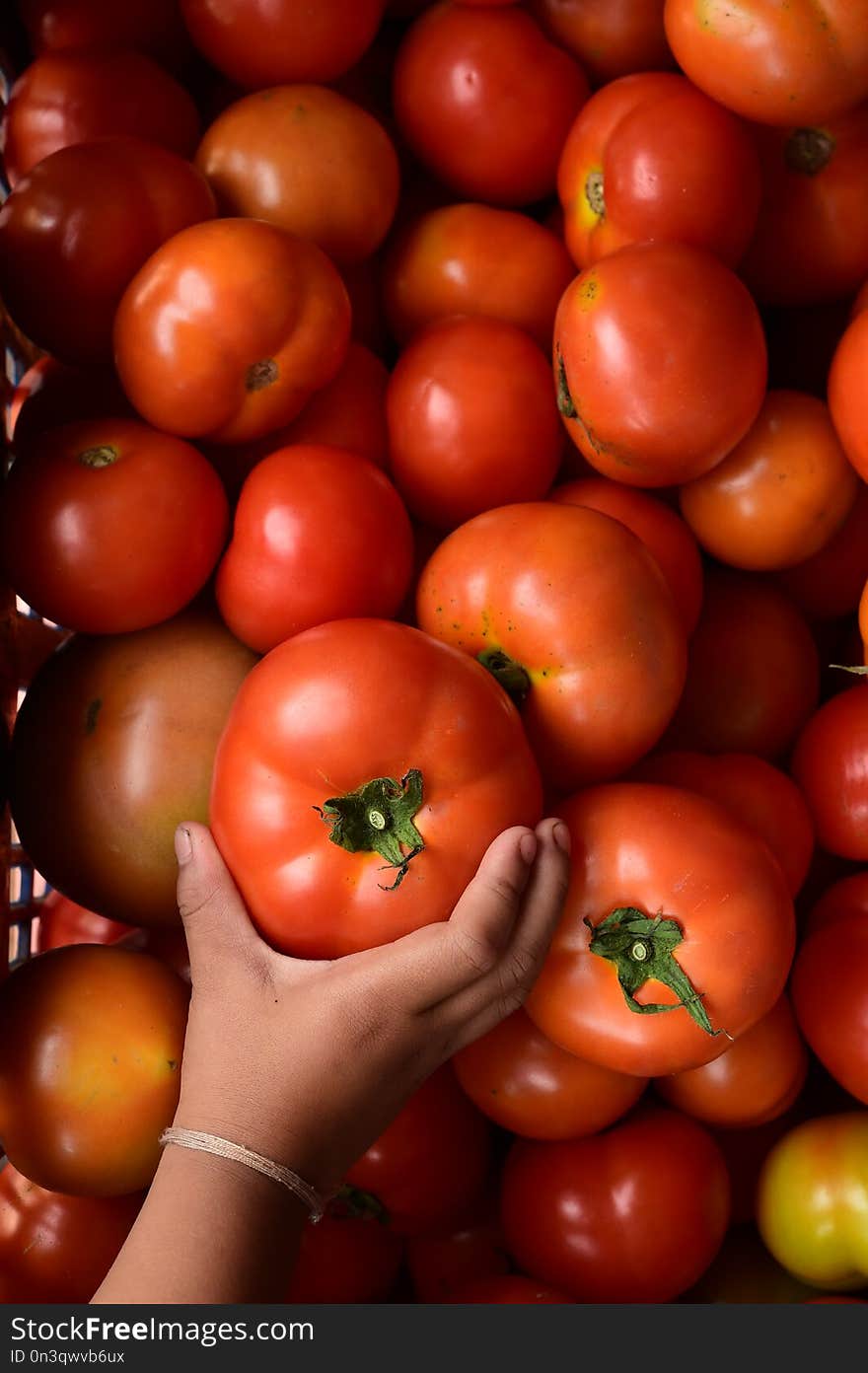 Close up of red tomatoes