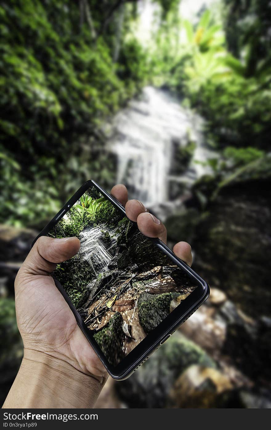 Hand Holding Smartphone Landscape Nature Background