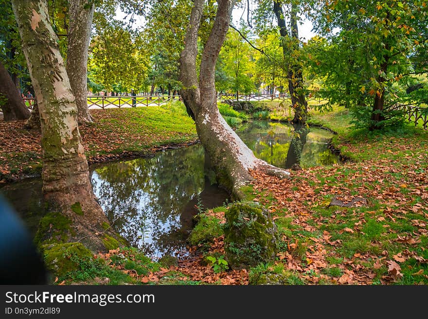 Beautiful view of Parco Sempione in Milan.