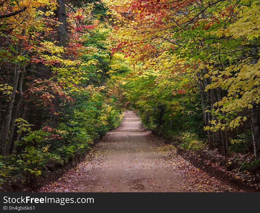 Fall Colors of Prince Edward Island