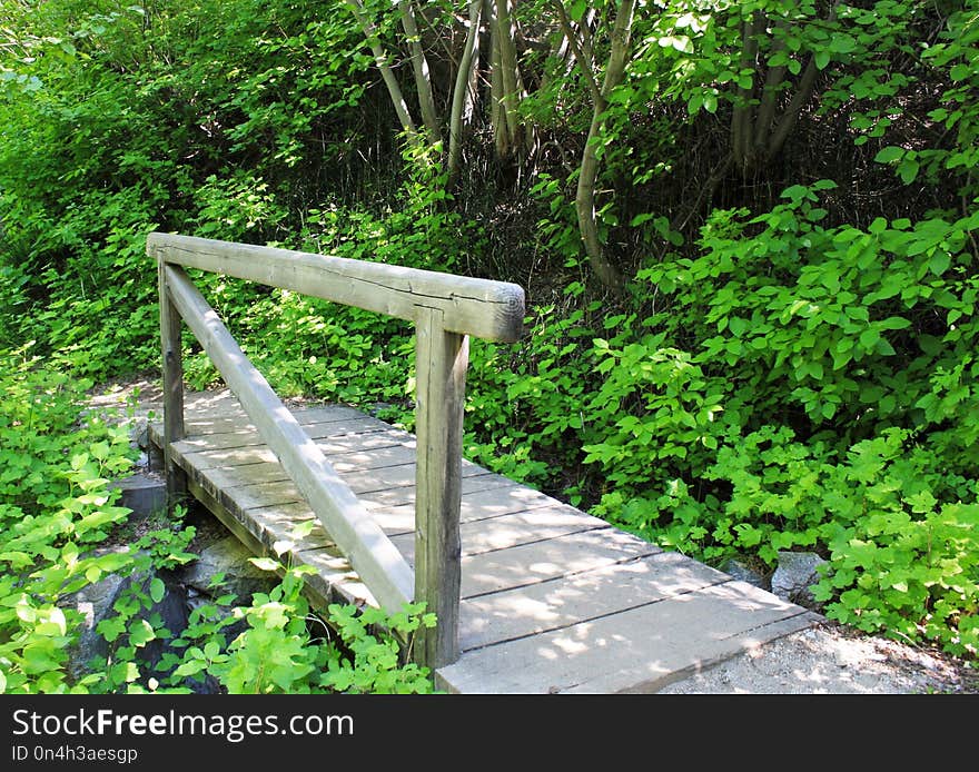 Nature Reserve, Path, Vegetation, Grass