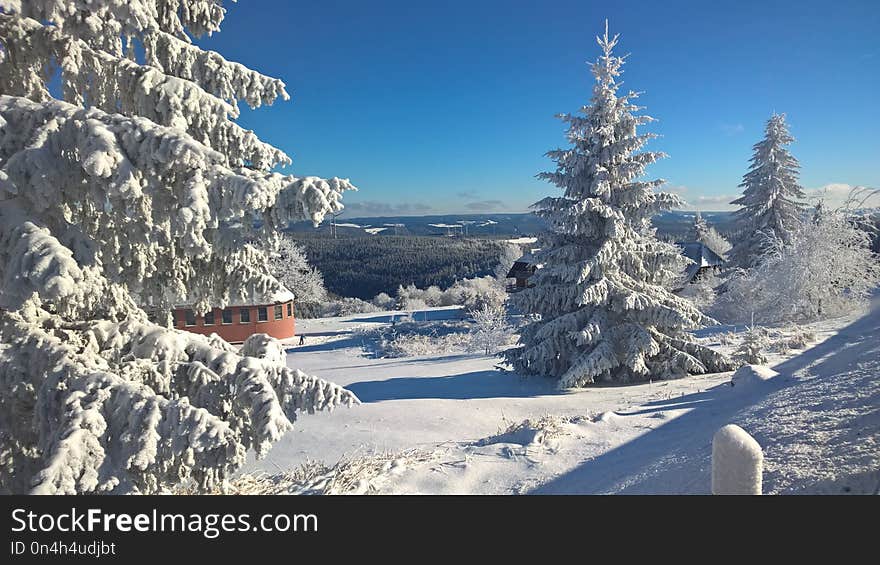 Winter, Snow, Tree, Sky