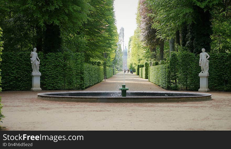 Nature, Tree, Fountain, Water Feature