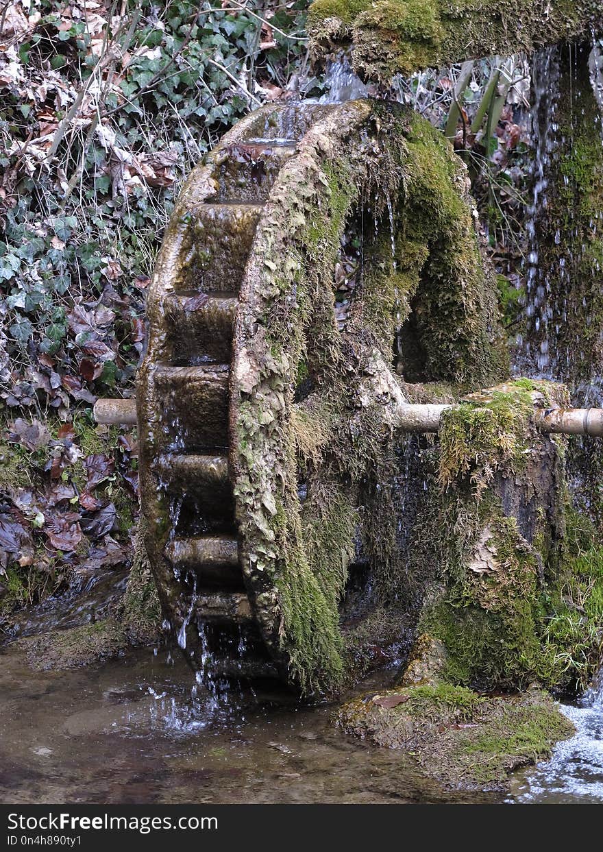 Water, Tree, Rock, Woodland