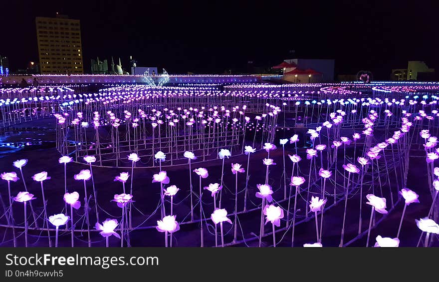 Purple, Structure, Sport Venue, Light