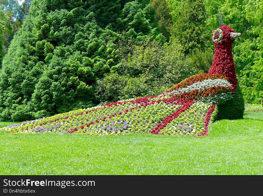 Botanical Garden, Garden, Flora, Grass