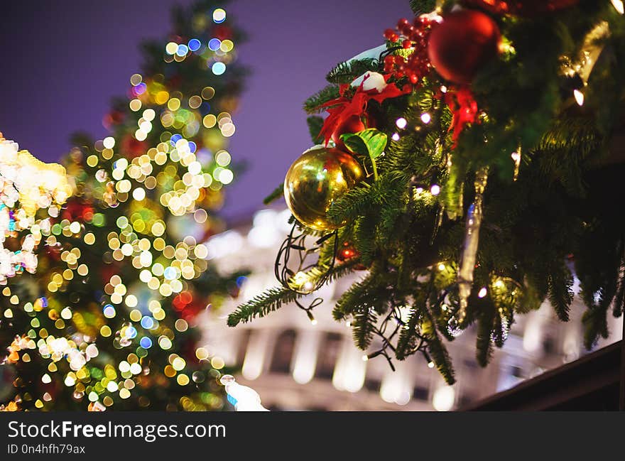 Beautiful New Year`s decor and Christmas-tree decorations on festive firs. Holiday, Christmas and New Year. Concept greeting card. Soft focus and beautiful bokeh.