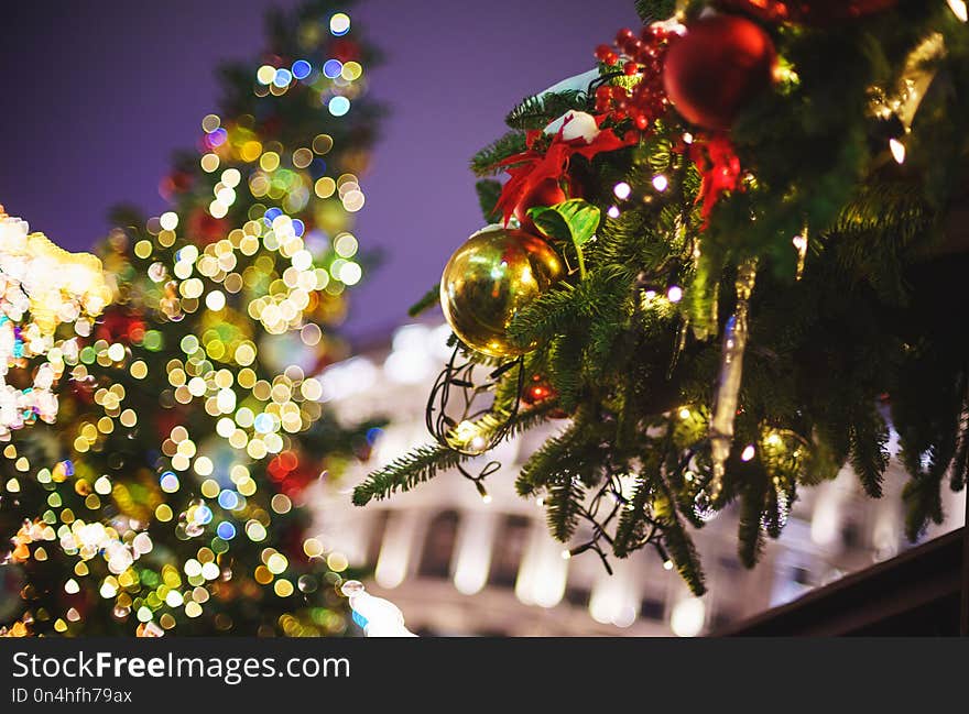 Beautiful New Year`s decor and Christmas-tree decorations on festive firs.