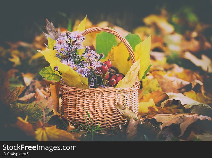 Lovely autumn concept, still life with flowers, berries and leaves in the basket, nature outdoor background