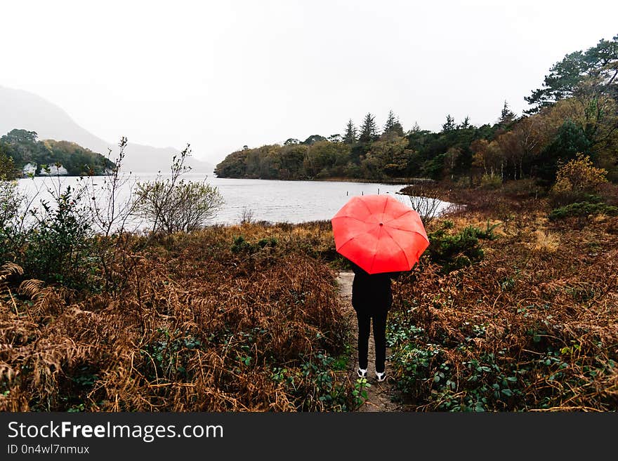 Woman with red umbrella by lake in Killarney National Park in Ireland a misty day of Autumn. Woman with red umbrella by lake in Killarney National Park in Ireland a misty day of Autumn