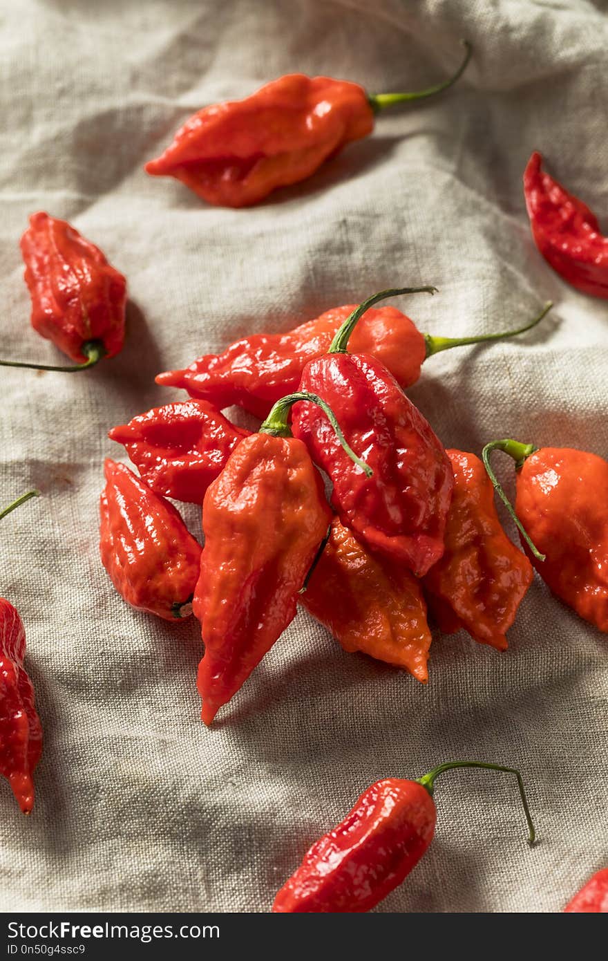 Raw Organic Spicy Bhut Jolokia Ghost Peppers