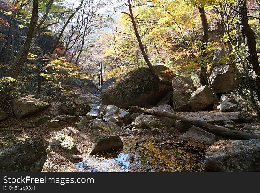 Nature, Rock, Wilderness, Nature Reserve