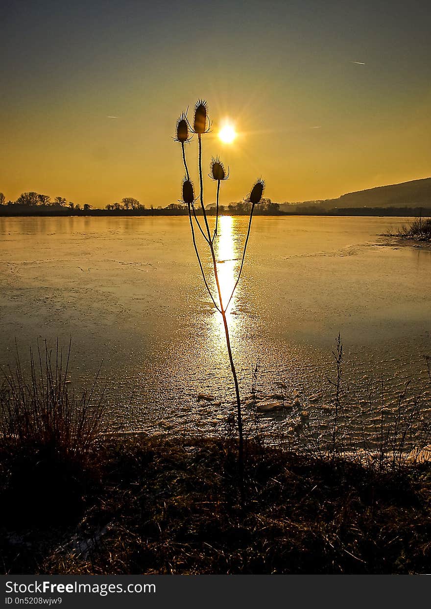 Water, Reflection, Sun, Sunrise