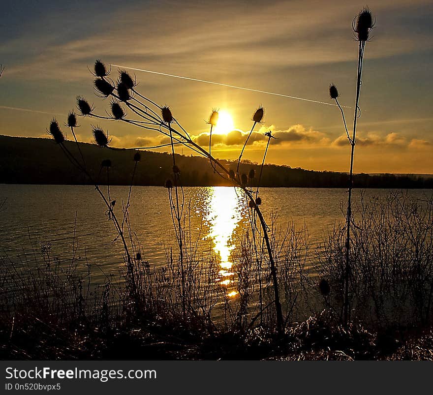 Water, Sky, Sun, Sunset