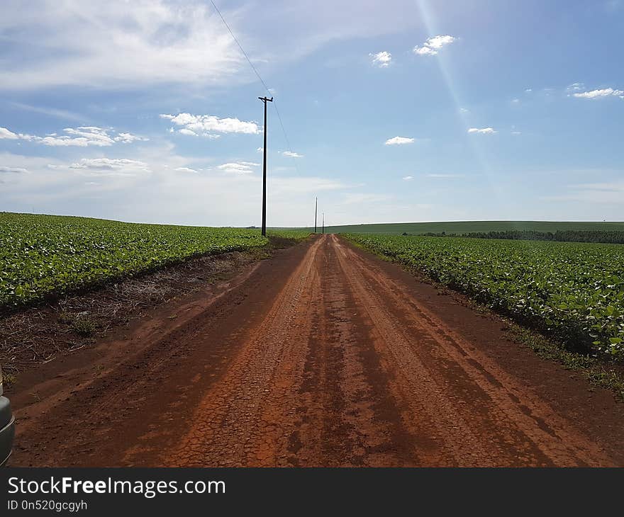 Road, Sky, Field, Cloud