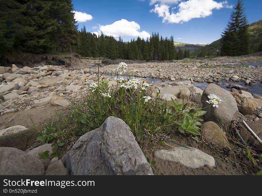 Wilderness, Nature Reserve, Geological Phenomenon, Mountain