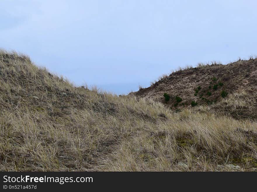 Ecosystem, Shrubland, Vegetation, Nature Reserve