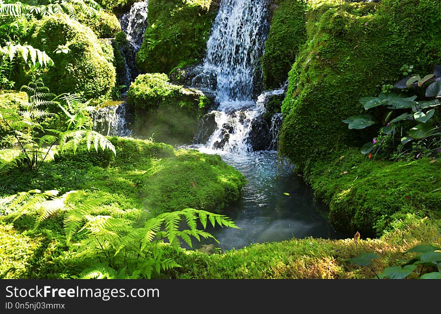 Waterfall in forest