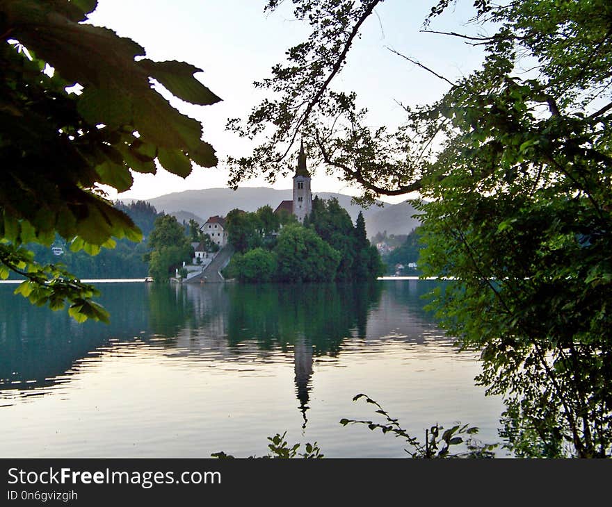 Reflection, Water, Nature, Green