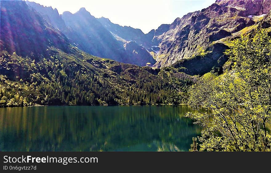 Nature, Wilderness, Nature Reserve, Tarn