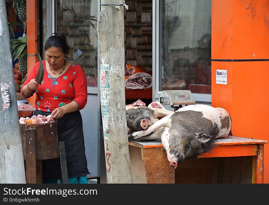 Mammal, Public Space, Temple, Street Food