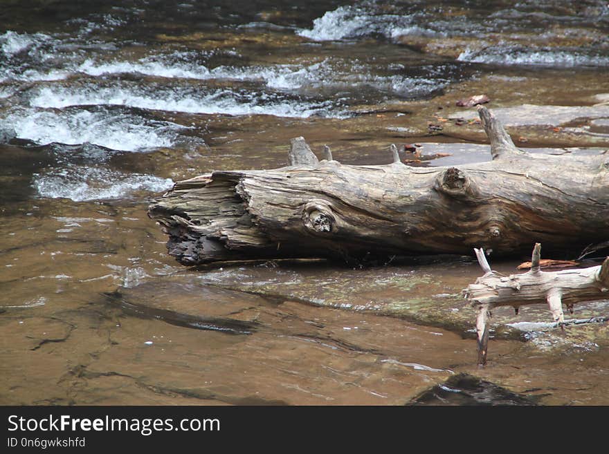 Water, Wood, River, Driftwood