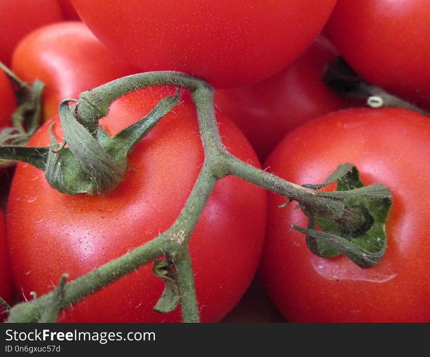 Natural Foods, Vegetable, Tomato, Plum Tomato