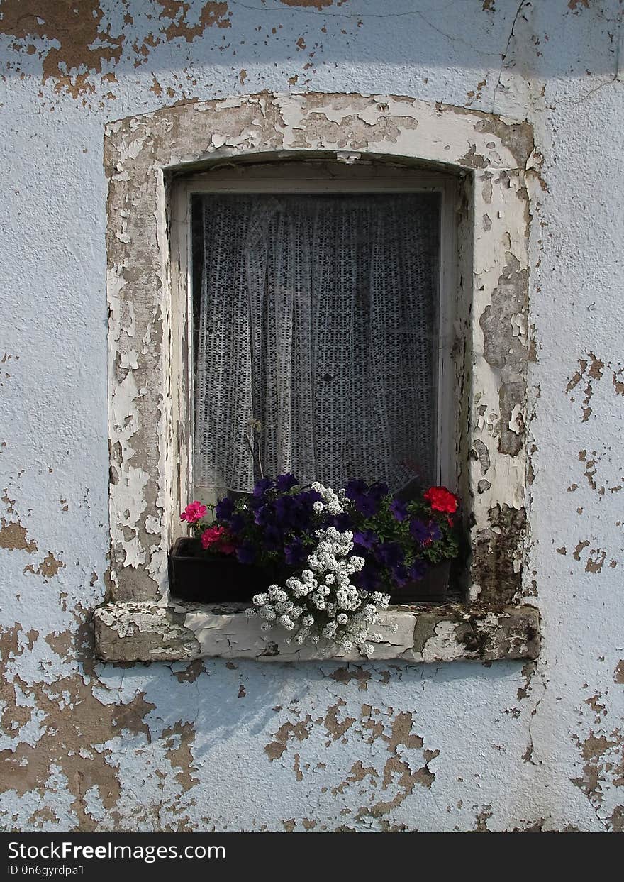 Flower, Window, Wall, House