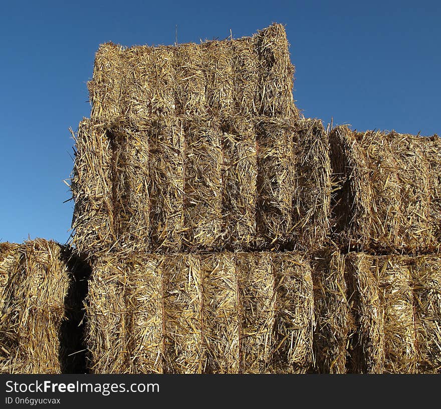 Hay, Straw, Agriculture, Field